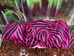 ZEBRA PRINTS LRG RESTING SOFT BED COVERS ONLY (NO FRAME BED) 4 BEARDED DRAGON