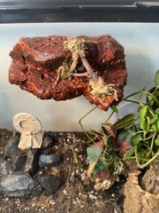 Magnetic Rock Ledges For Terrariums And Cages (Limited Edition) Medium LAVA