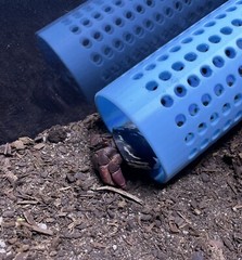 Hermit Crab Climbing Tunnel Ornament Hermit Crab Tank Decoration Toys Supplies