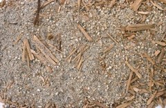 T-Rex Reptile Terrarium Substrate – Canyon Trail