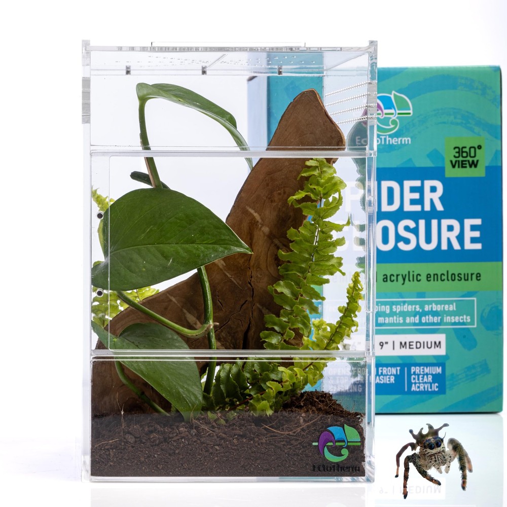 Jumping Spider Enclosure – for Habitat, Terrarium Kit and Arboreal Tarantula …