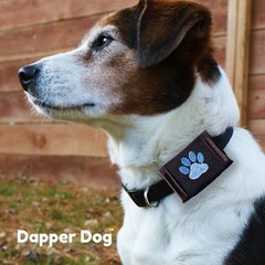 Dapper Dog Pet Tag Silencer – Ballistic Nylon (Black with Blue Paw Print)