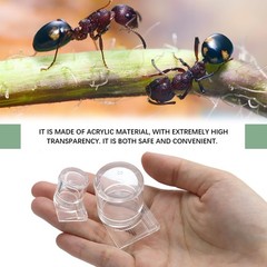 2pcs Mini Ant Water Feeder – Transparent Liquid Feeding Bowls for Ant Farms S…