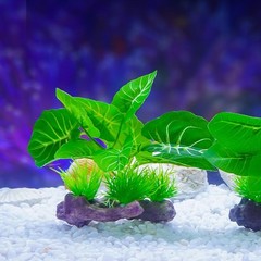 2 Pcs Green Yellow Artificial Reptile Plants Terrarium Decor
