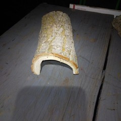 Natural Log Reptile Hide Cave House 7″-8″ Long 3″-4″ Wide 3″ Tall